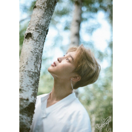 Park Jimin Canvas Poster Painting BTS High Quality Wall Home Decor No Frame
