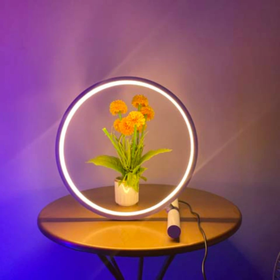 LED Night Light Smart Desktop Atmosphere Lamp Remote Bluetooth For Bedroom Computer Desk Decor