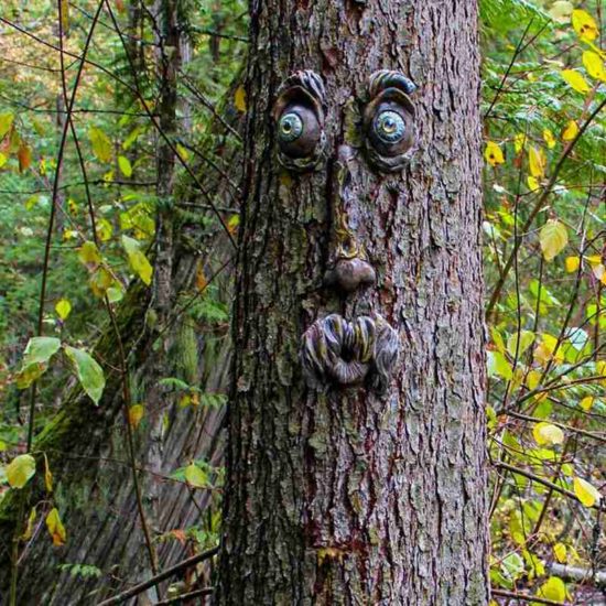 Funny Old Tree Bark Face, Tree Strange Facial Features Creative Props for Garden Decoration - Image 3