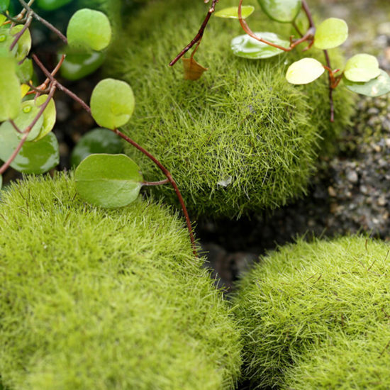 4-Size Fake Stone Artificial Moss Rocks, Home Decor Simulation Plant DIY Decoration For Garden - Image 3