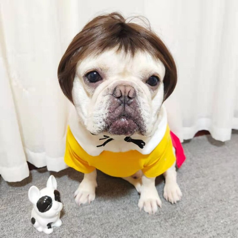 Pet Wigs Cosplay Funny Dogs Cats Cross-Dressing Accessories for Halloowen Christmas Supplies - Image 2