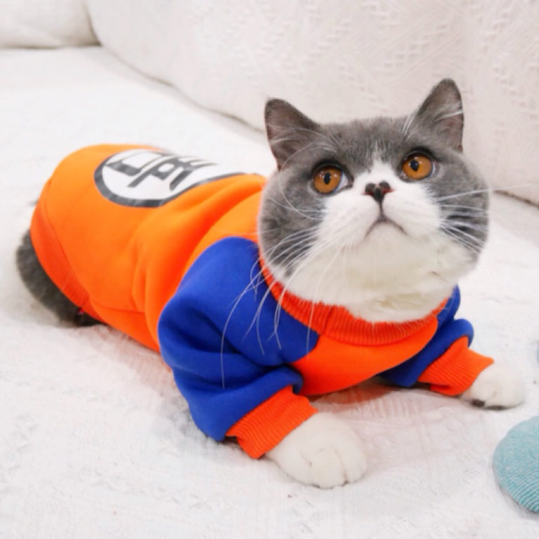 Fashion Pet Clothes for Cats Katten Coat Kedi Clothing Sweatshirt Outfit