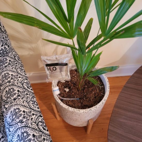 Automatic Watering Dripper Infusion Bag Life Support Plant Drip Irrigation Household Adjustable Plant - Image 3