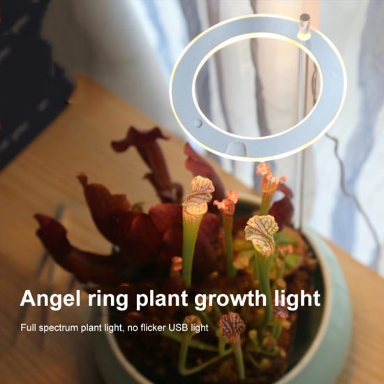 ⁦Angel Ring Light Lamp for plants For Growing USB-5V Phytolamp Growth Landscape Lighting for Indoor Plants Bonsai Flowers⁩ - الصورة ⁦3⁩