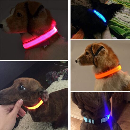 Dog Collars LED Glowing Rechargeable Waterproof Luminous Collar Adjustable Night Light Collar Pet Dog Safety Necklace - Image 4