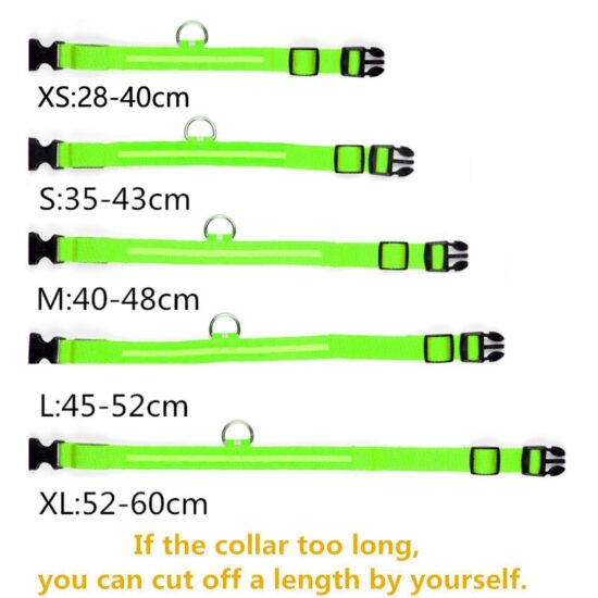 Dog Collars LED Glowing Rechargeable Waterproof Luminous Collar Adjustable Night Light Collar Pet Dog Safety Necklace - Image 5