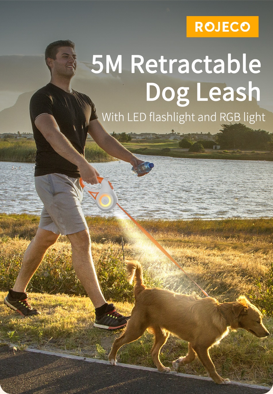 Lead Light Straps For Dog Puppy Pet Flexi Walking Running 5M Automatic Retractable Leash LED Luminous Leading Fashion