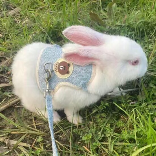 Rabbit Harness and Leash Set Bunny Pet Accessories Vest Newest Cute Harnesses cat dog Leashes for Walking Pets Supplies - Image 2