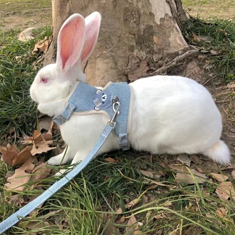 Rabbit Harness and Leash Set Bunny Pet Accessories Vest Newest Cute Harnesses cat dog Leashes for Walking Pets Supplies