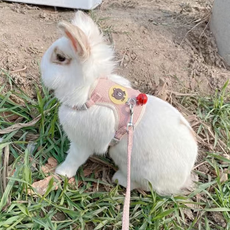 Rabbit Harness and Leash Set Bunny Pet Accessories Vest Newest Cute Harnesses cat dog Leashes for Walking Pets Supplies