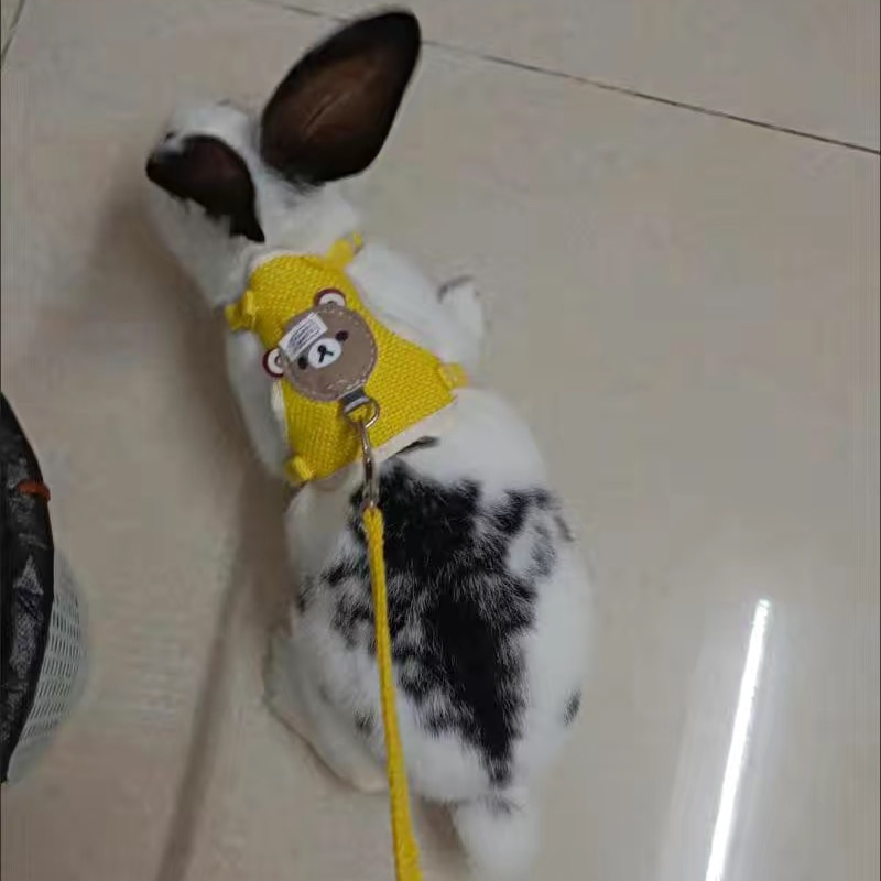 Rabbit Harness and Leash Set Bunny Pet Accessories Vest Newest Cute Harnesses cat dog Leashes for Walking Pets Supplies