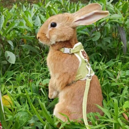 Rabbit Harness and Leash Set Bunny Pet Accessories Vest Newest Cute Harnesses cat dog Leashes for Walking Pets Supplies