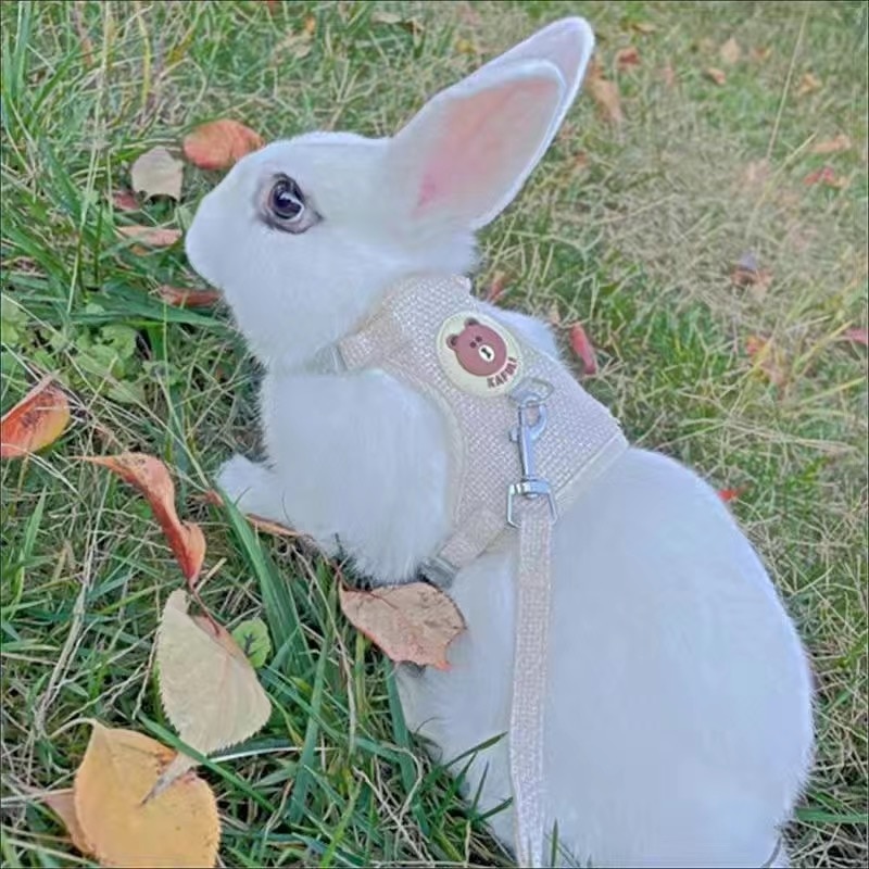 Rabbit Harness and Leash Set Bunny Pet Accessories Vest Newest Cute Harnesses cat dog Leashes for Walking Pets Supplies