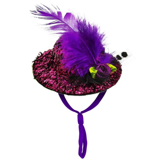 ⁦Chicken Hat for Hens Tiny Pets Funny Chicken Accessories Feather Top Hat Rooster Parrot Hamster Poultry Stylish Shows Costumes⁩ - الصورة ⁦2⁩