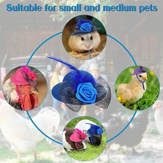 ⁦Chicken Hat for Hens Tiny Pets Funny Chicken Accessories Feather Top Hat Rooster Parrot Hamster Poultry Stylish Shows Costumes⁩ - الصورة ⁦5⁩