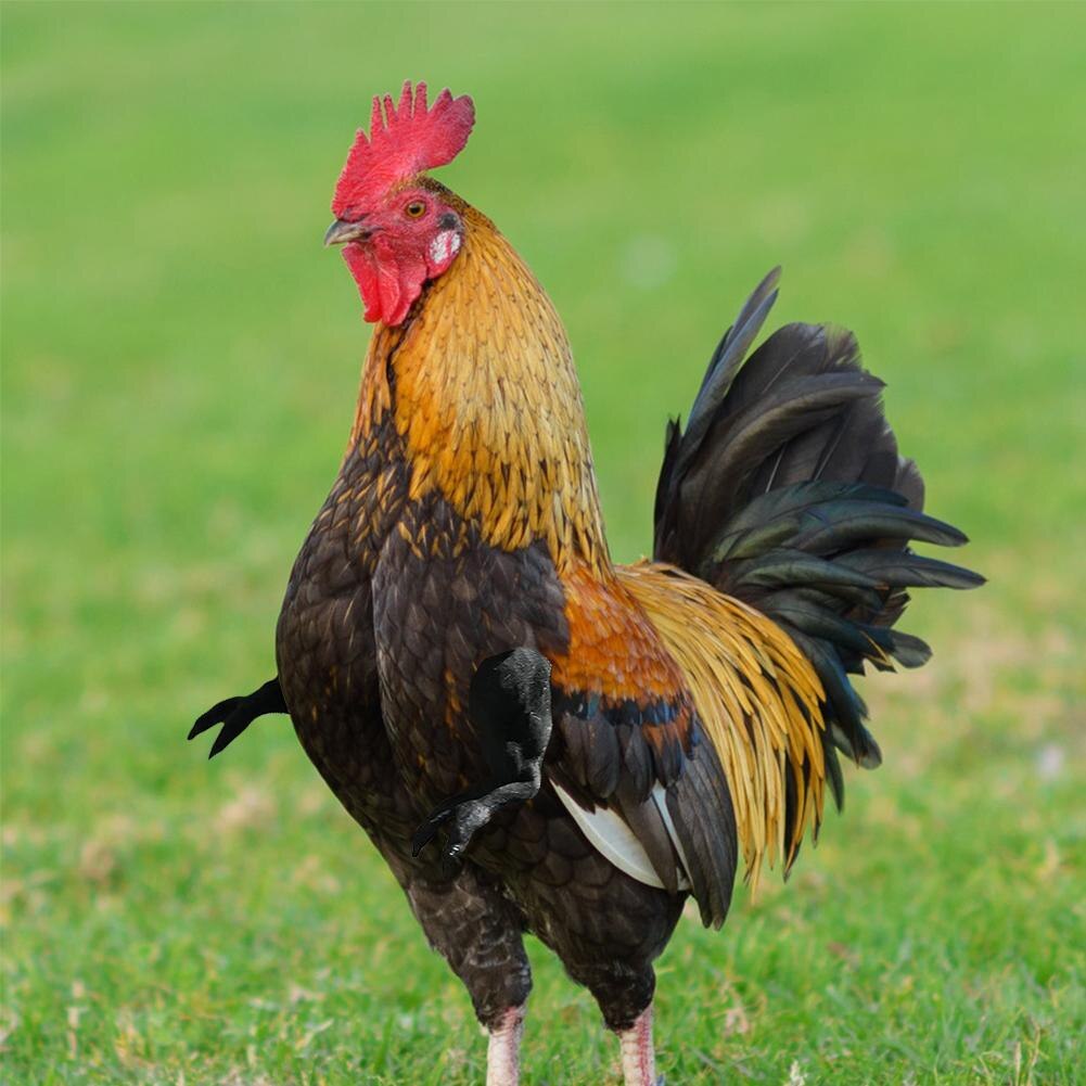 Chicken Arms Toy Wearing Artificial Funny for Hens Pet Duck Themed Party Chicken Supplies Pet Chicken Accessories New