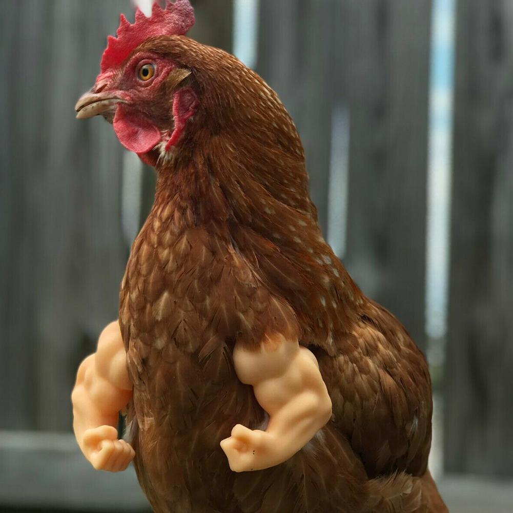 Chicken Arms Toy Wearing Artificial Funny for Hens Pet Duck Themed Party Chicken Supplies Pet Chicken Accessories New