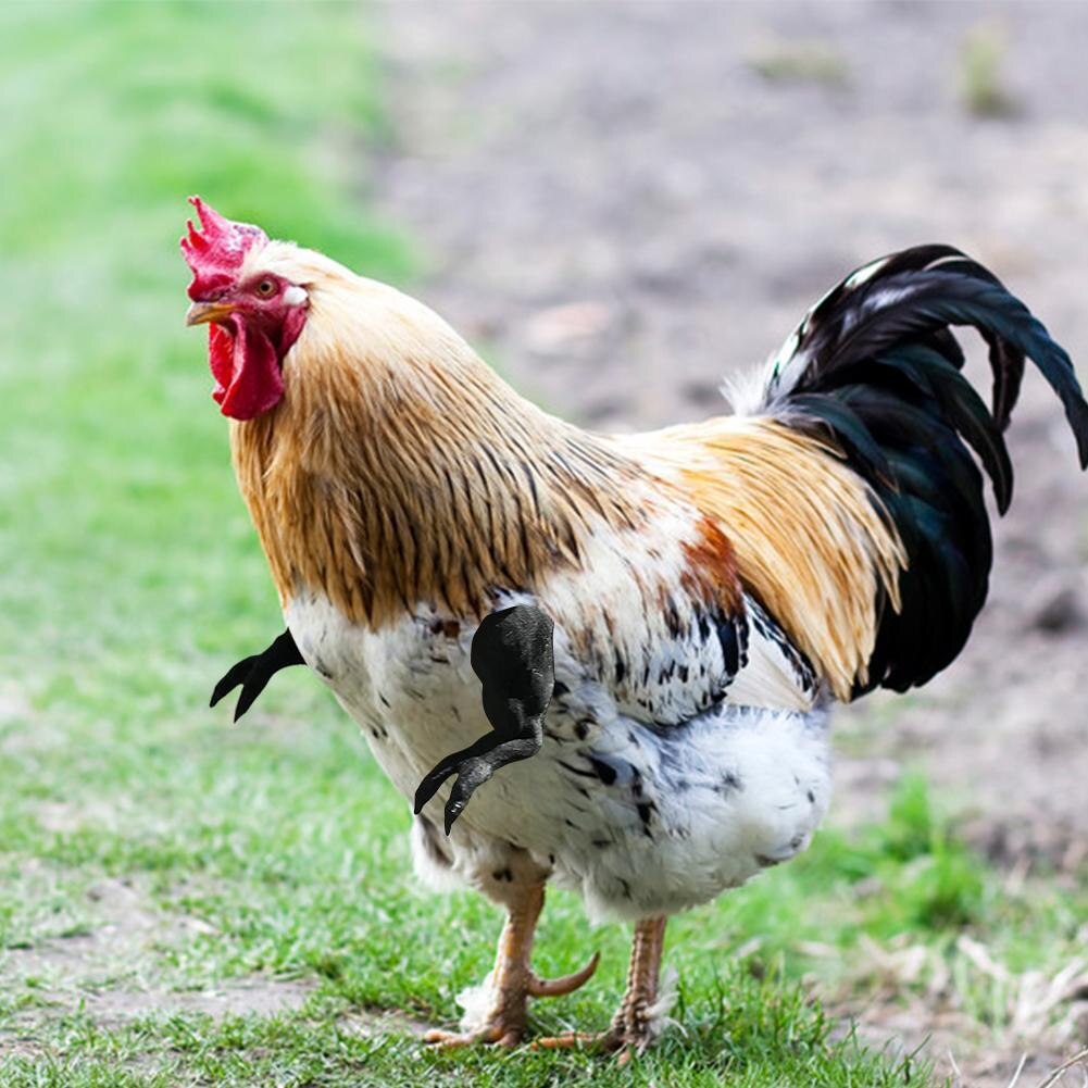 Chicken Arms Toy Wearing Artificial Funny for Hens Pet Duck Themed Party Chicken Supplies Pet Chicken Accessories New