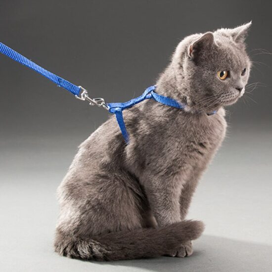 ⁦Rabbit Cat Harness and Leash Set Adjustable Nylon Harnesses for Bunny Kitten Pet Outdoor Walking Supplies Accessories⁩ - الصورة ⁦5⁩