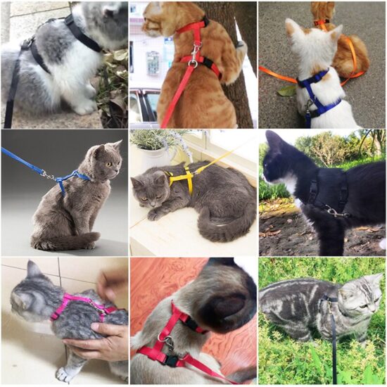 ⁦Rabbit Cat Harness and Leash Set Adjustable Nylon Harnesses for Bunny Kitten Pet Outdoor Walking Supplies Accessories⁩ - الصورة ⁦4⁩