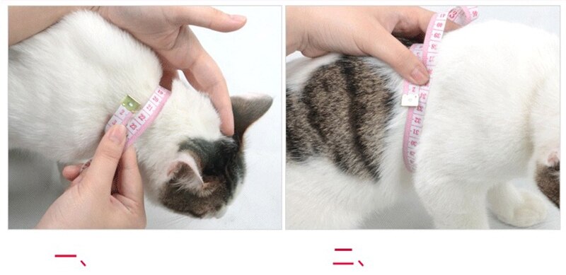 Rabbit Cat Harness and Leash Set Adjustable Nylon Harnesses for Bunny Kitten Pet Outdoor Walking Supplies Accessories