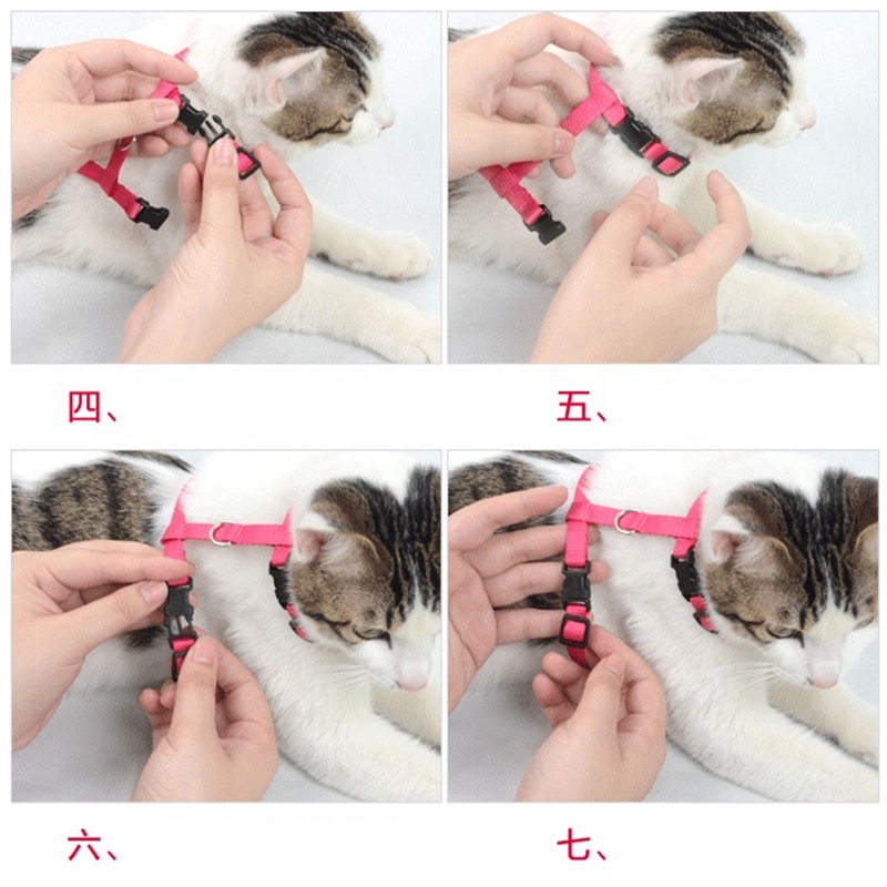 Rabbit Cat Harness and Leash Set Adjustable Nylon Harnesses for Bunny Kitten Pet Outdoor Walking Supplies Accessories