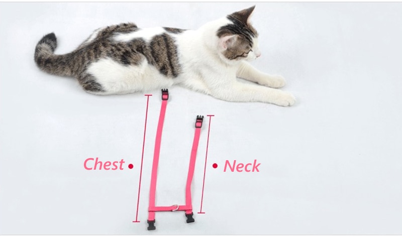 Rabbit Cat Harness and Leash Set Adjustable Nylon Harnesses for Bunny Kitten Pet Outdoor Walking Supplies Accessories