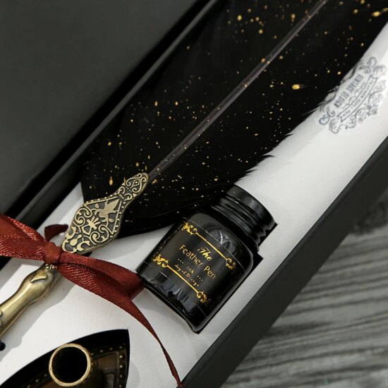 Pen Gift Box Calligraphy Feather Dip Pen with 2 Nib Set Quill Fountain Writing (No Ink)