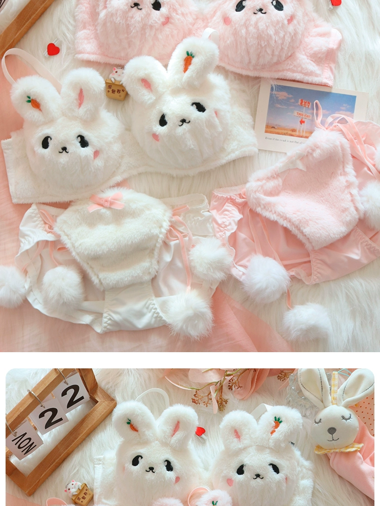 bra set underwear Japanese cute no steel ring push-up comfortable and warm lingerie underpants suit for women