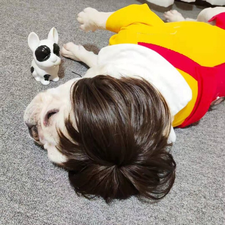 Pet Wigs Cosplay Funny Dogs Cats Cross-Dressing Accessories for Halloowen Christmas Supplies - Image 3