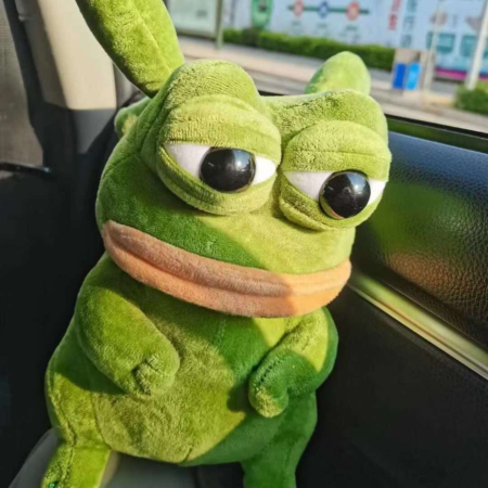 Pokemon Anime Pikachu Kawaii Stuffed Toys For Children Cosplay Spoof Sad Pepe Frog Keychain
