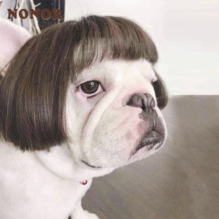 Pet Wigs Cosplay Funny Dogs Cats Cross-Dressing Accessories for Halloowen Christmas Supplies