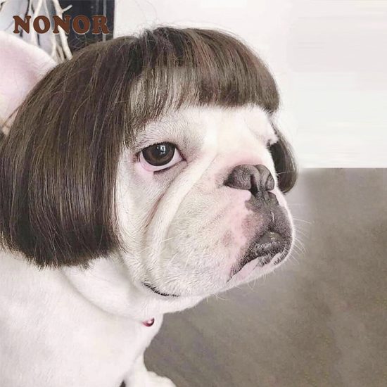 Pet Wigs Cosplay Funny Dogs Cats Cross-Dressing Accessories for Halloowen Christmas Supplies