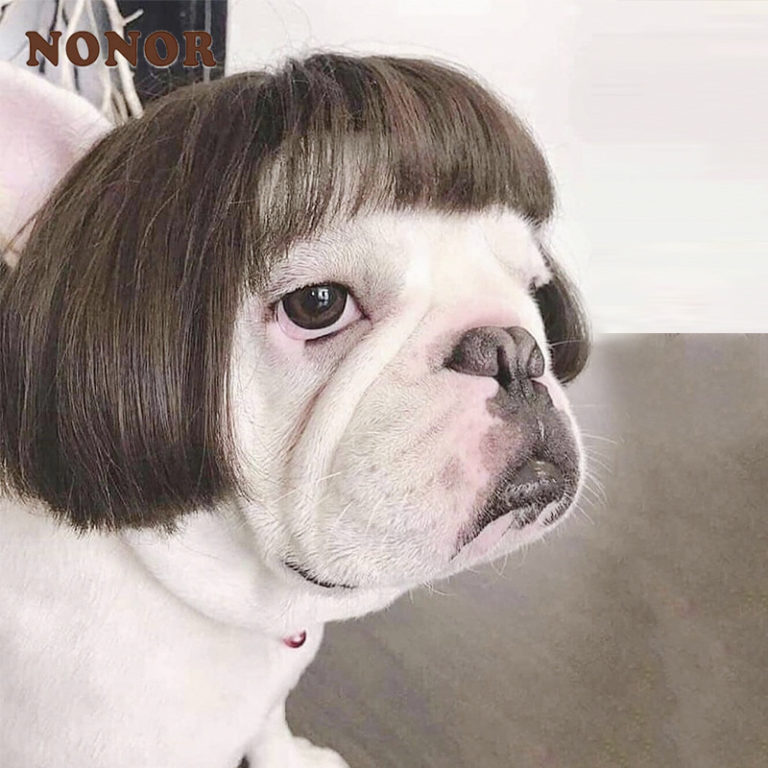 Pet Wigs Cosplay Funny Dogs Cats Cross-Dressing Accessories for Halloowen Christmas Supplies