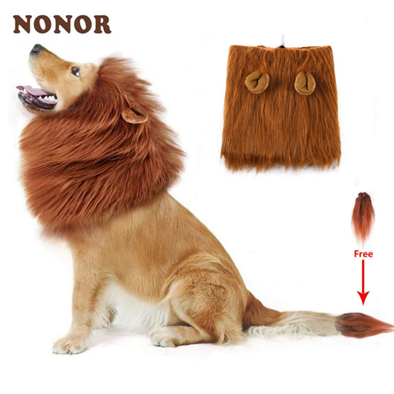 Cute Costume Lion Pet for Large Dogs  Party Decoration with Ear Pet Accessories
