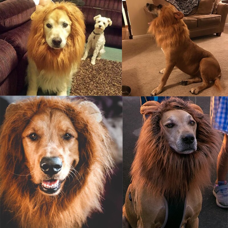 Cute Costume Lion Pet for Large Dogs  Party Decoration with Ear Pet Accessories - Image 2