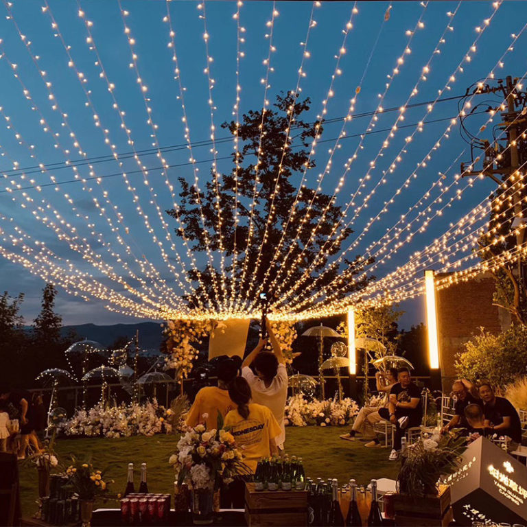 Fairy Lights 10M-100M Led String  for Garland Christmas Light Waterproof For Tree Home Wedding Party Outdoor Indoor Decoration - Image 4
