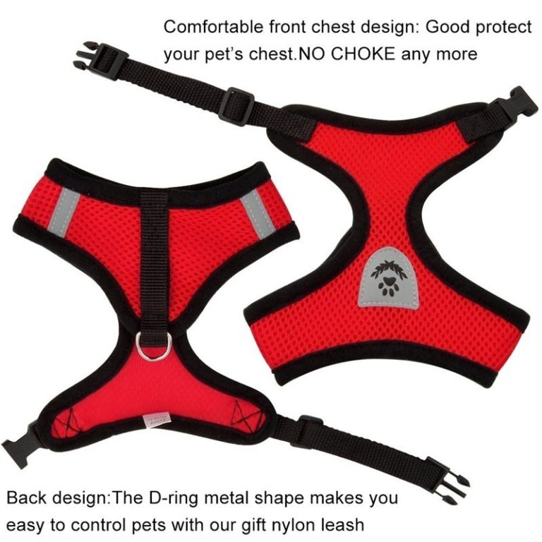 ⁦Cat Dog Harness with Lead Leash Adjustable Vest Polyester Mesh Breathable⁩ - الصورة ⁦2⁩