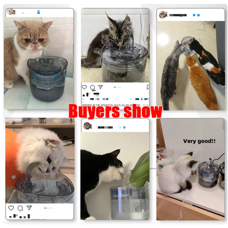 2L Sensor Intelligent Cat Water Fountain With Faucet Dog Water Dispenser Transparent Drinker Pet Filters Feeder Motion - Image 3