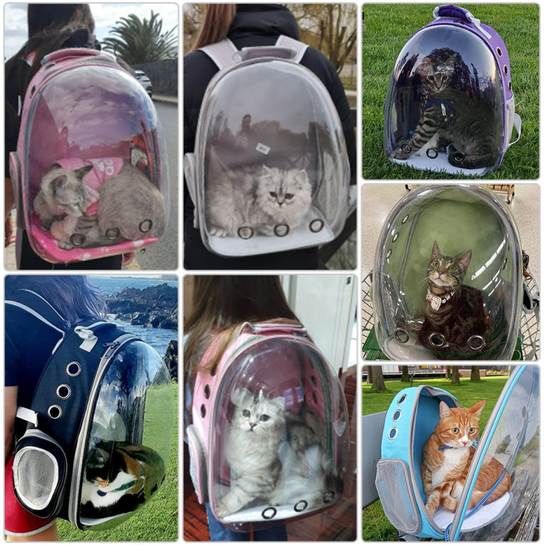 Cat Carrier Bags Breathable Backpack Travel Transparrent - Image 2