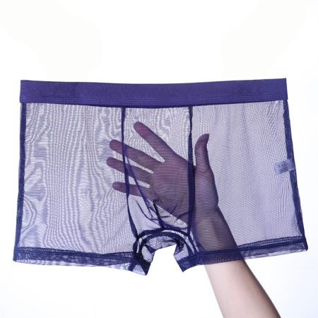 Underwear Boxer Briefs Sexy Lace Ultra Thin Mesh Full Sheer Breathable Comfortable Underwear