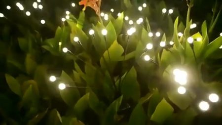 Trend Solar LED Light Outdoor Landscape Lights Garden Decor